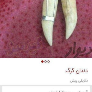 کاور