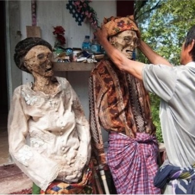 کاور