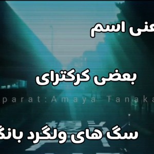 معنی اسم سگ های ولگرد بانگو