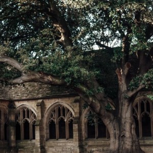 عکس ...Hogwarts locations