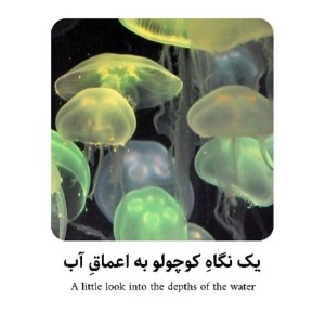 کاور