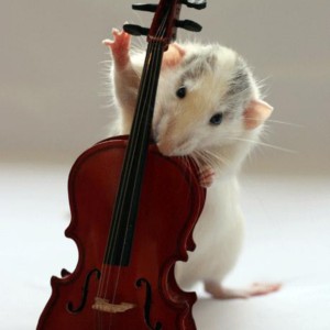 چقدر برونگرایی ؟