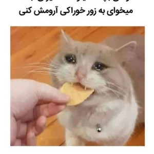 عکس میم ^-^