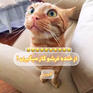کاور