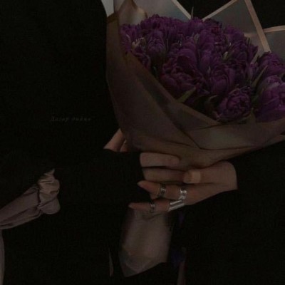 هرتایپ چرا درست درک نمیشه