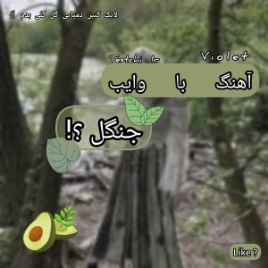 عکس آهنگ با وایب جنگل 🌚🌿