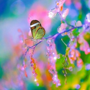 شخصیت متولدین هرماه