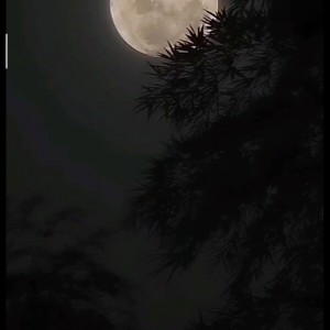 عکس اما ماه....:)