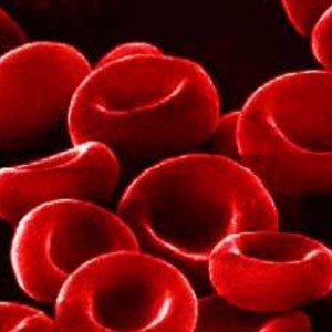 گروه خونی چیست