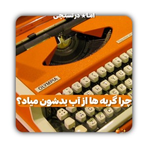 عکس ترس گربه ها از آب؟