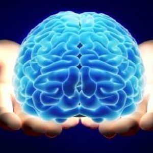 ذهن شما چند ساله؟