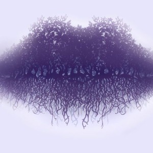 تست شخصیت شناسی ۳