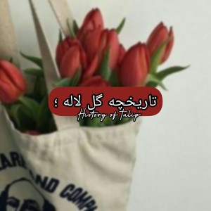 تست تاریخچه گل لاله؛