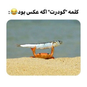 عکس جوک پارت3