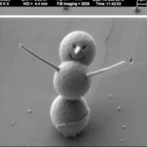 دارکی یا کیوت؟