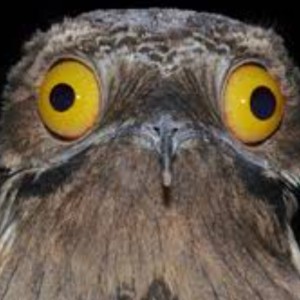 عکس توپو ❤️