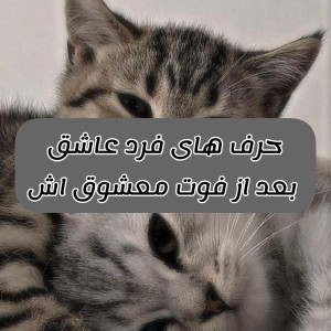 حرف های فرد عاشق بعد از فوت معشوق اش 😔