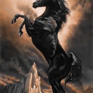 عکس اسب سیاه