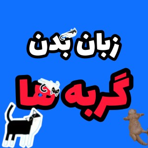 عکس زبان بدن گربه ها