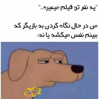 عکس طنــز:»