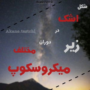 کاور