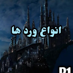 عکس «انواع ورد ها»P1