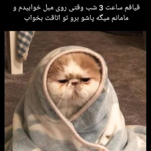 کاور