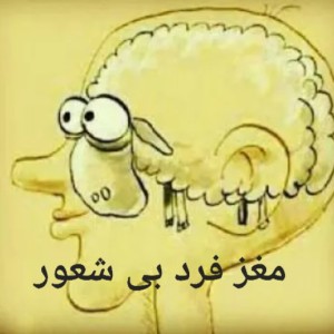 تست میزان شعور