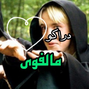 عکس دراکو مالفوی