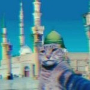 کاور