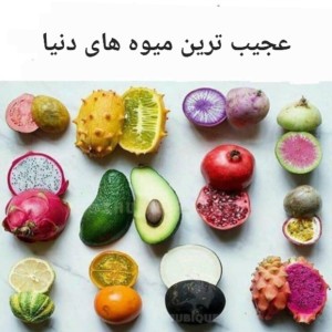 عکس عجیب ترین میوه های دنیا