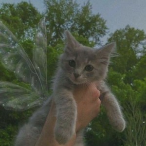 مصاحبه با کاربرℙ𝕠𝕝𝕒𝕣𝕚𝕤