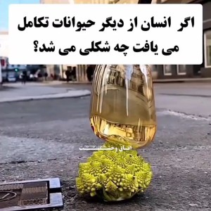 عکس اگر انسانها از حیوانات تکامل یافته بودند. .