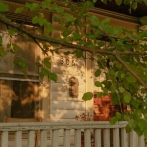 هر تایپ به عنوان گل..