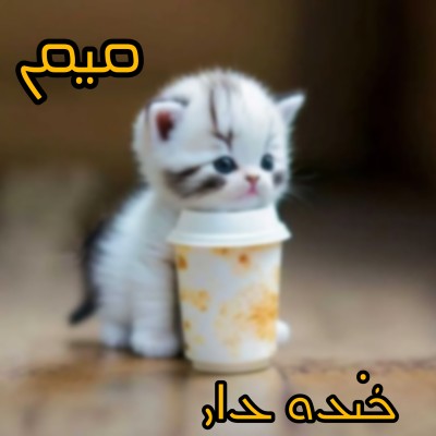 عکس میم خنده دار