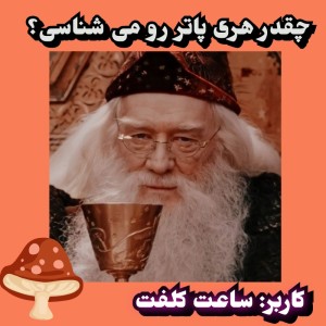 عکس چقدر هری پاتر رو می شناسی؟