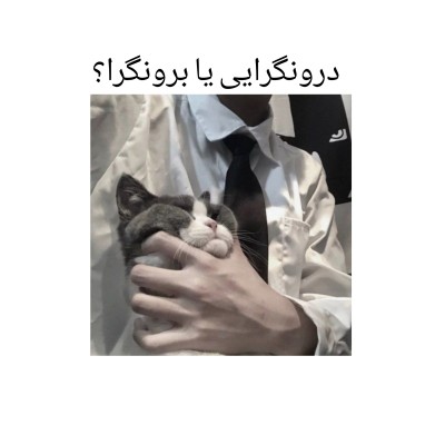 درونگرایی یا برونگرا؟🌗