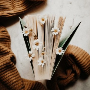 چگونه در درسهایمان نمرات بالا بگیریم؟