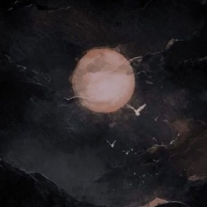 از عجیب ترین باور های ایلان ماسک