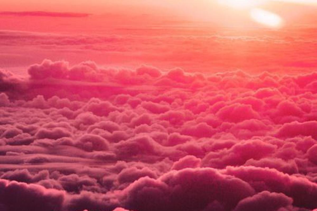 عکس فکت راجب چپ دست ها