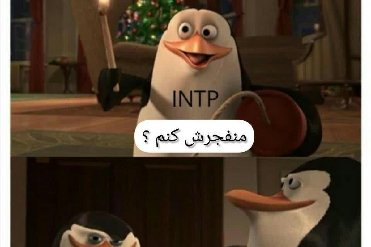 میم mbti