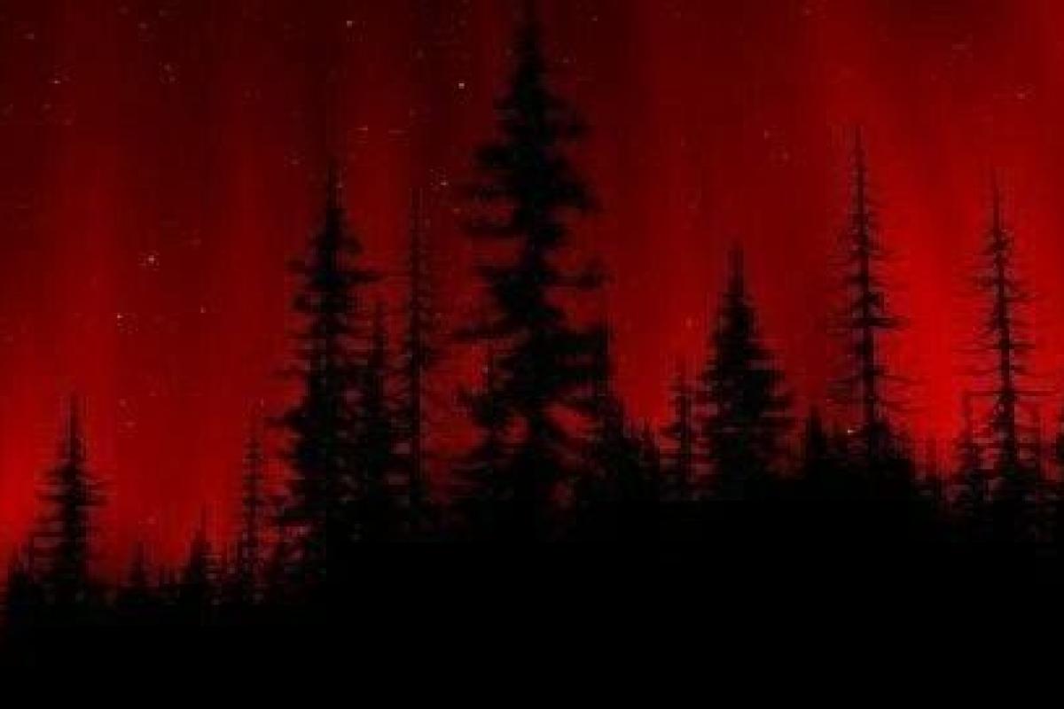 عکس ترکیب تایپ ها: ؟