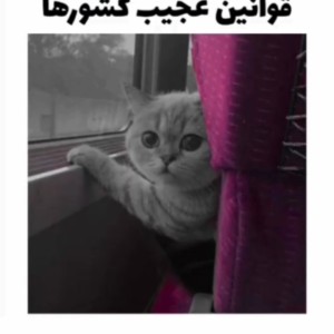 تست قوانین عجیب کشور ها !