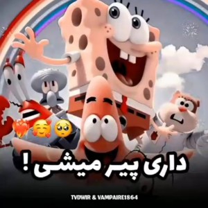 تست داری پیر میشی!🥹🫰