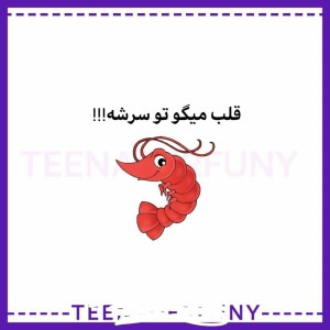 تست فکت های عجیب