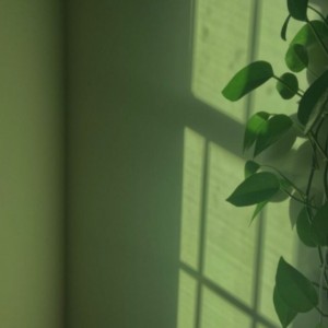 آیا از زندگی خود راضی هستید ؟