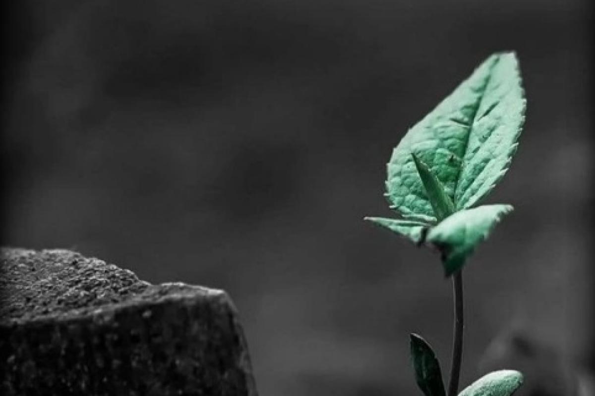 عکس آیا از زندگی خود راضی هستید ؟