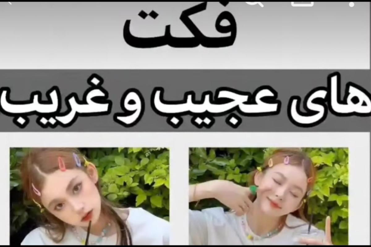 عکس فکت های عجیب غریب