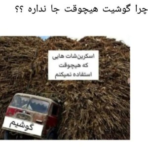 تست میمp1