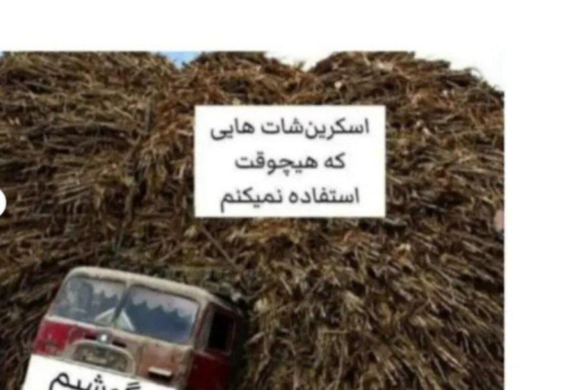میمp1